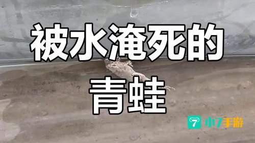 青蛙会淹死吗