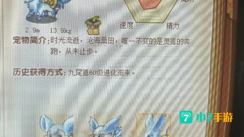 洛克王国灵狐